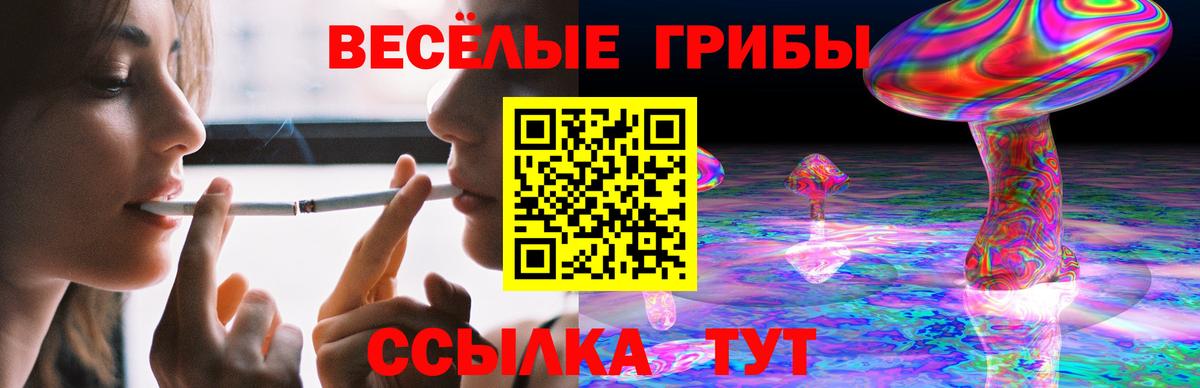 Псилоцибиновые грибы Cubensis  Вход с VPN  Туймазы 